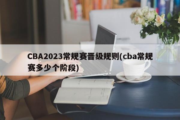 CBA2023常规赛晋级规则(cba常规赛多少个阶段)