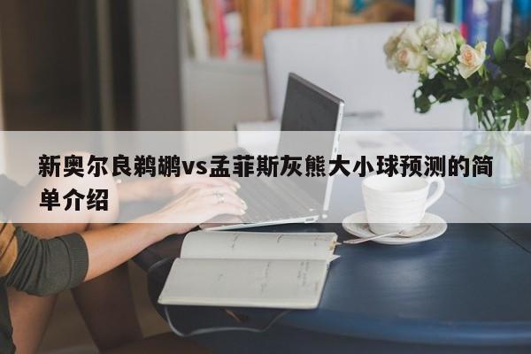 新奥尔良鹈鹕vs孟菲斯灰熊大小球预测的简单介绍