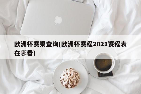 欧洲杯赛果查询(欧洲杯赛程2021赛程表在哪看)