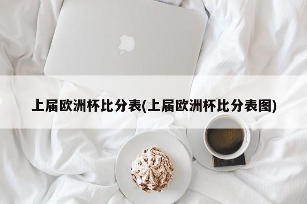 上届欧洲杯比分表(上届欧洲杯比分表图)