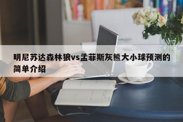 明尼苏达森林狼vs孟菲斯灰熊大小球预测的简单介绍