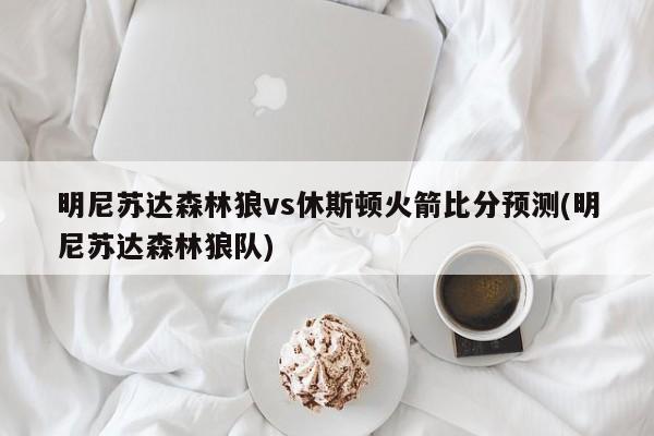 明尼苏达森林狼vs休斯顿火箭比分预测(明尼苏达森林狼队)