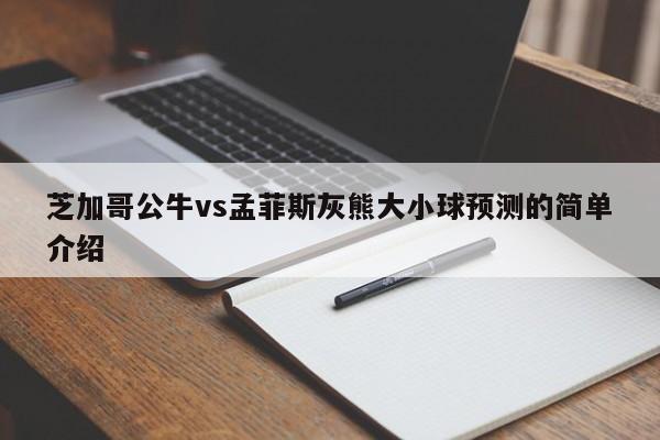 芝加哥公牛vs孟菲斯灰熊大小球预测的简单介绍