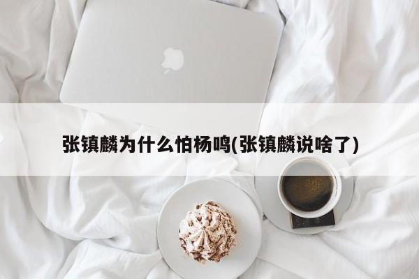 张镇麟为什么怕杨鸣(张镇麟说啥了)